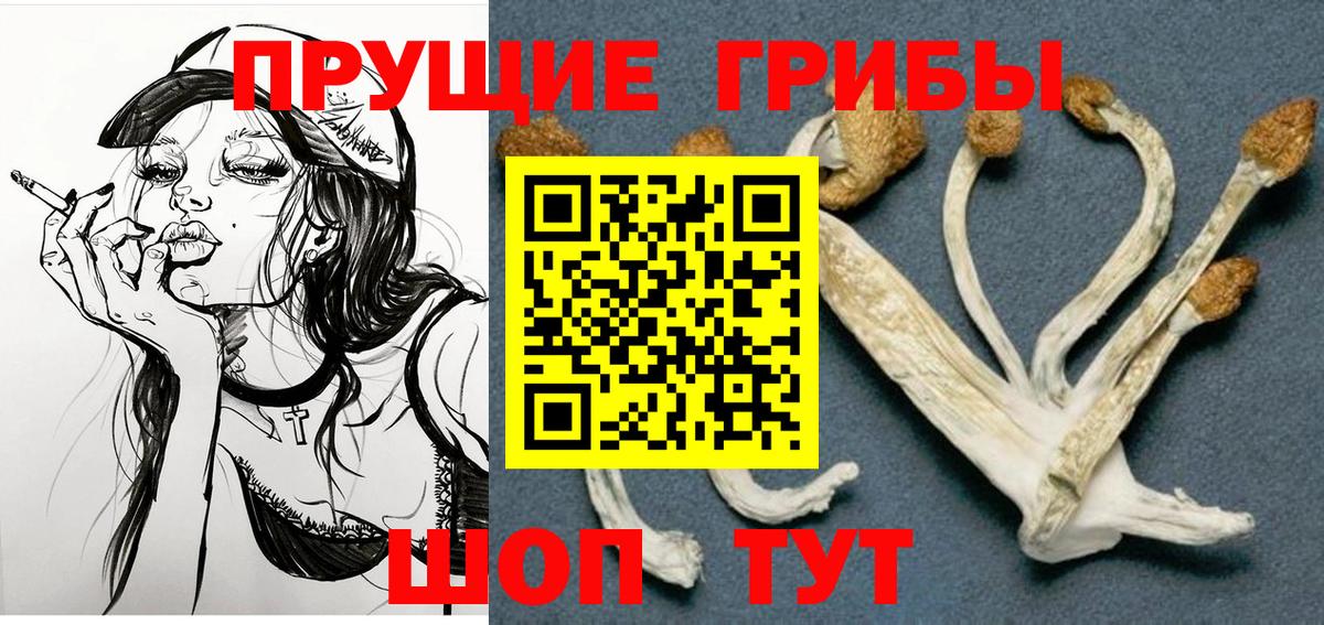 Псилоцибиновые грибы MAGIC MUSHROOMS  Вход с VPN  Псилоцибиновые грибы Psilocybe  что такое   Тихорецк 